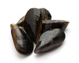P.E.I. Cultivated Mussels - PATRIOTLOBSTER.COM