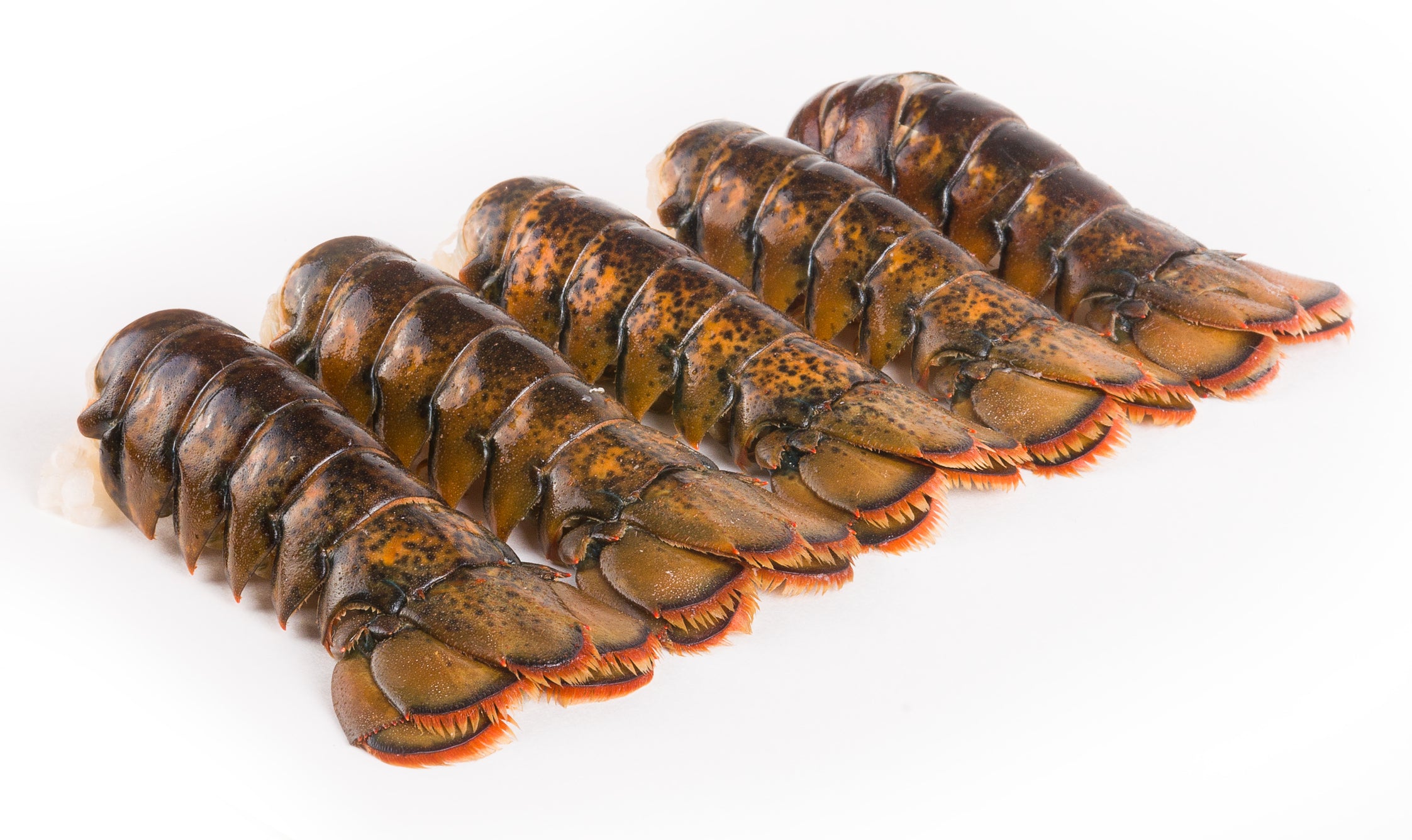 Lobster Tails