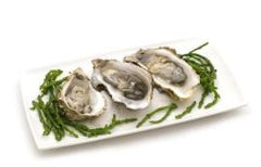 Oysters In The Shell - PATRIOTLOBSTER.COM