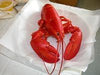 Live Lobster 1 & 1/2 lbs. - PATRIOTLOBSTER.COM