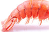 Lobster Tails 8-10 oz. - PATRIOTLOBSTER.COM