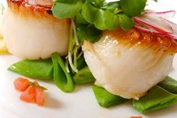 Sea Scallops - PATRIOTLOBSTER.COM