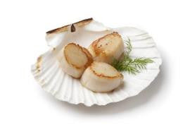 Sea Scallops - PATRIOTLOBSTER.COM