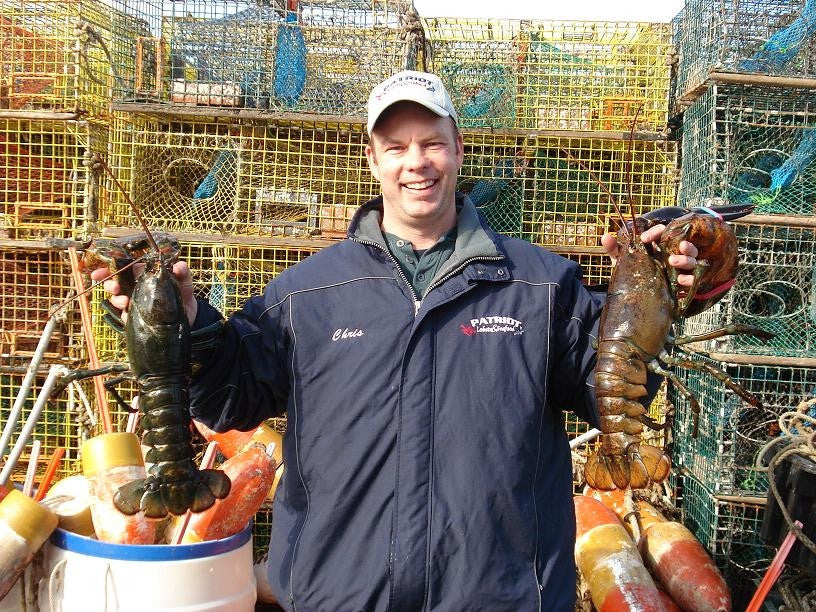Live Lobster - Four Pounder's - PATRIOTLOBSTER.COM