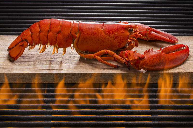 1.75-1.99 Lb Live Lobster - Hard Shell