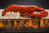 1.75-1.99 Lb. Live Lobster Hard Shell  -1&3/4's