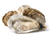 Oysters In The Shell - PATRIOTLOBSTER.COM