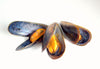 P.E.I. Cultivated Mussels - PATRIOTLOBSTER.COM